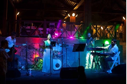 Unforgettable Nights Await!