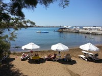 Take a dive off the jetty! 