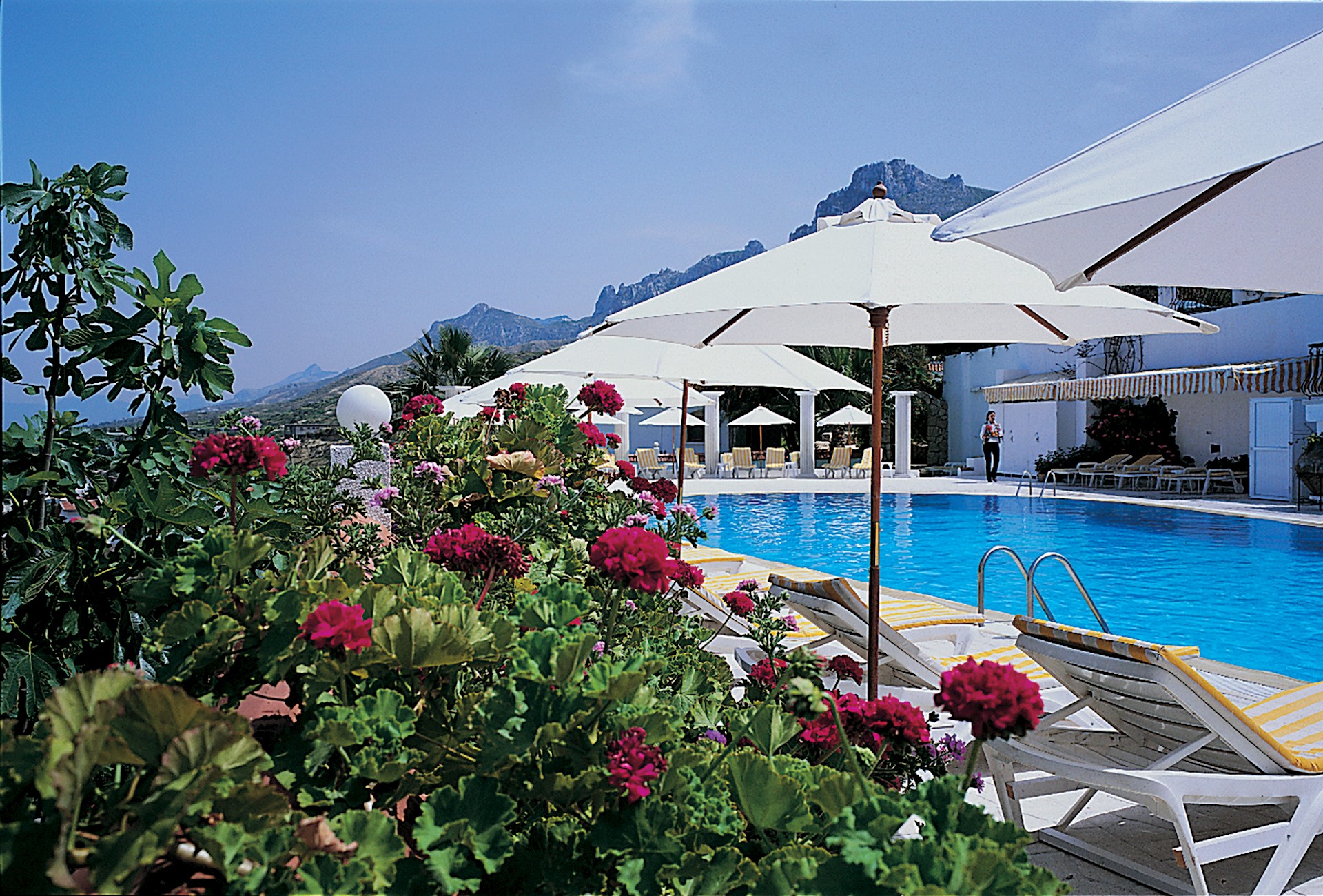 the hideaway club swimming