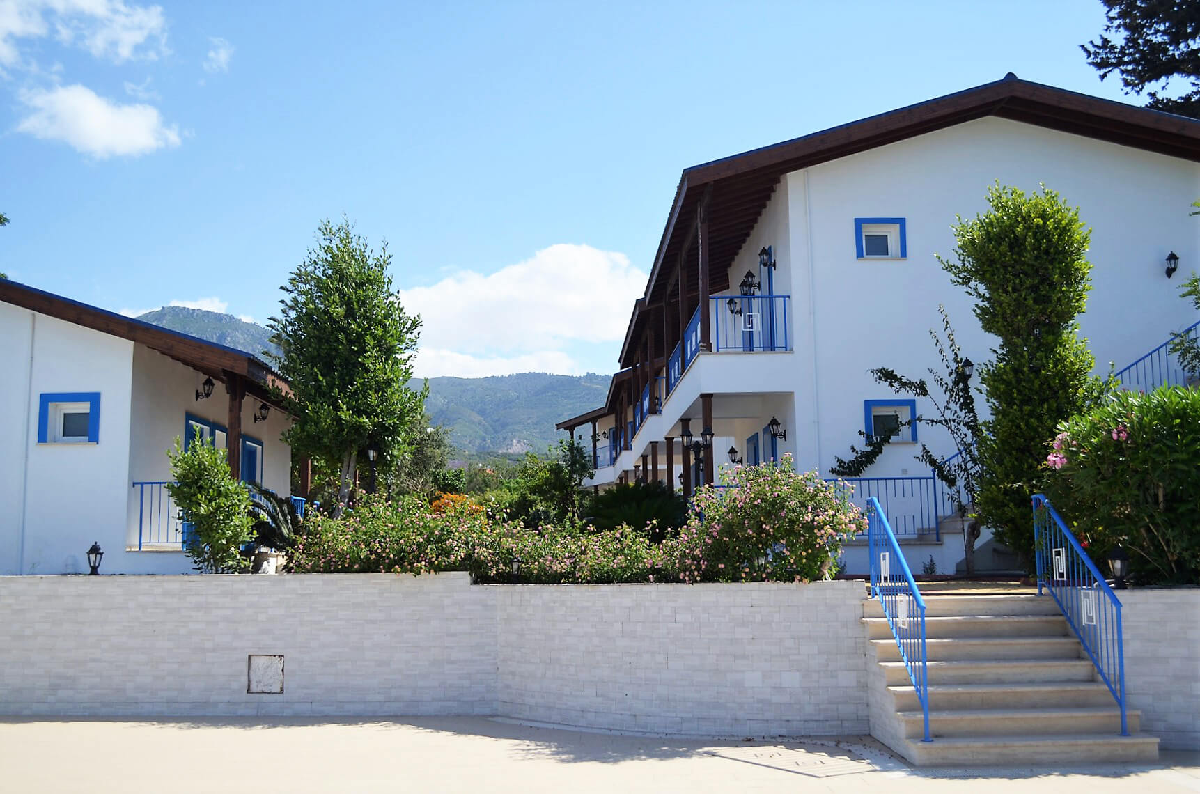 leton aphrodite mountain view