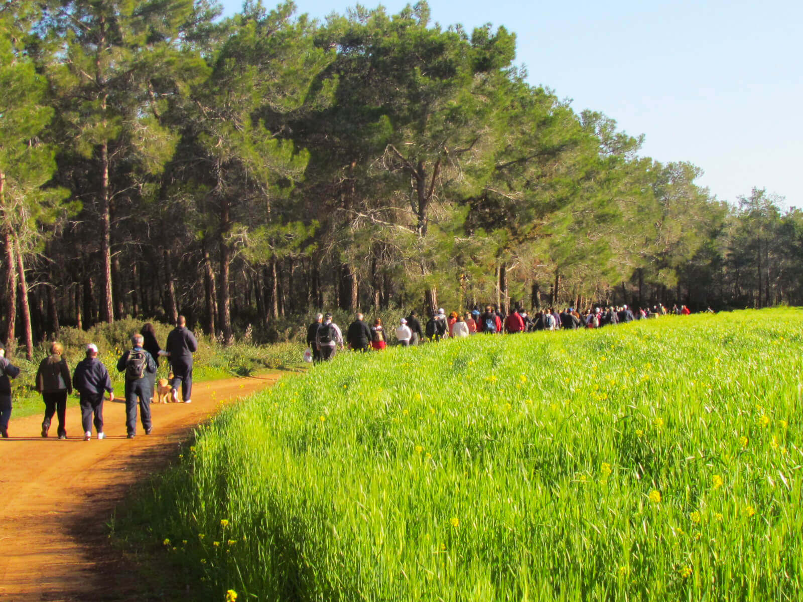 Explore the beautiful nature of North Cyprus