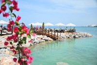 A Tranquil Beach Experience