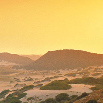 20% Early Booking Discount