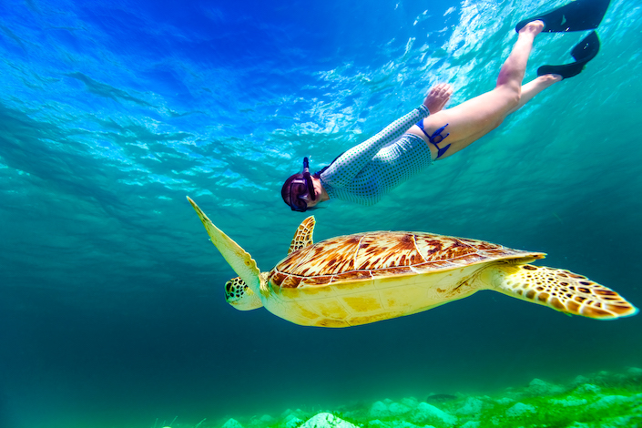 Diving with Turtles, North Cyprus