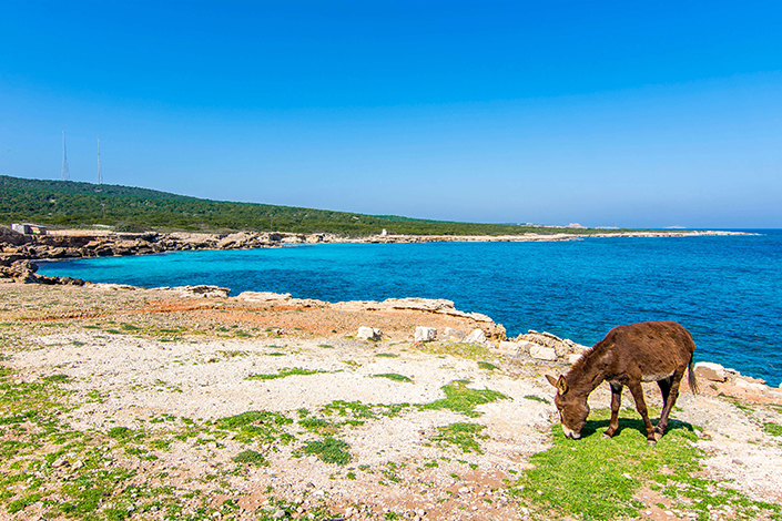 National Park Karpaz, North Cyprus